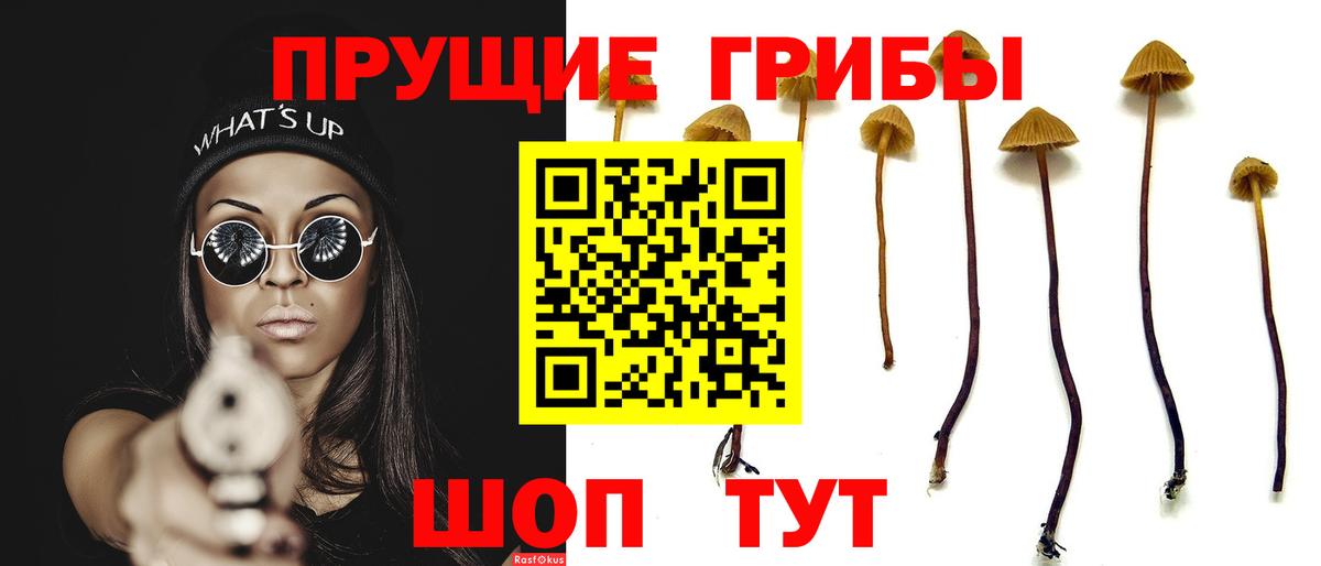 Галлюциногенные грибы Cubensis Киселёвск